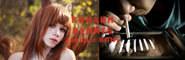 PSILOCYBIN Аркадак