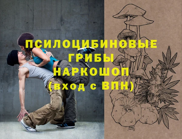 бошки Арсеньев