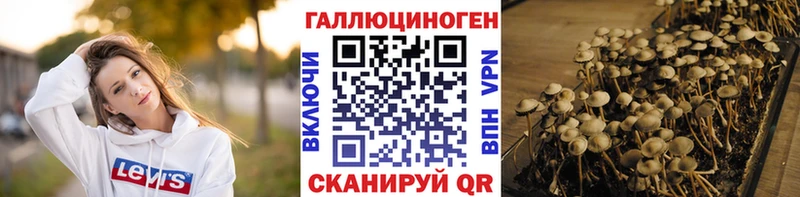 Псилоцибиновые грибы Psilocybe  кракен ССЫЛКА  Нахабино 